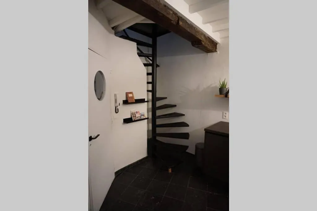 Rustig Gelegen Woning Op Toplocatie In Antwerpen Centrum 別荘