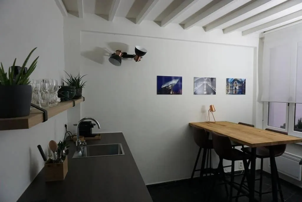 Rustig Gelegen Woning Op Toplocatie In Antwerpen Centrum 別荘 アントウェルペン